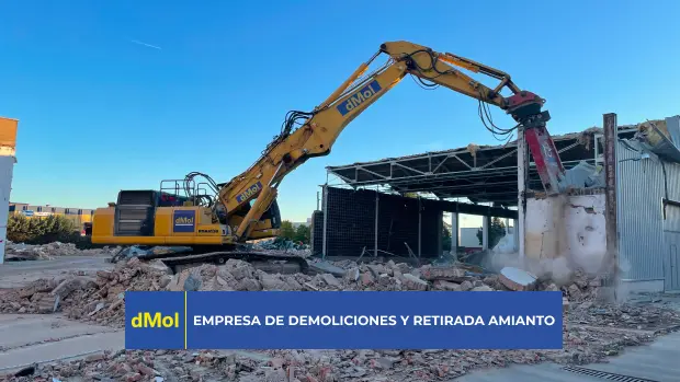 Tipos de demolición en España